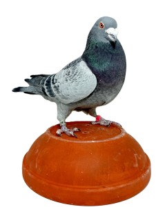 sk-20-0603-880-mk-h.jpg
