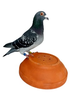 sk-2021-0603-71-mktm.-h.jpg